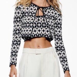 Zara crop top and sweater set